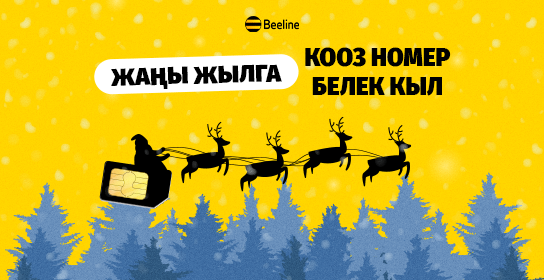 Кооз номерлерге арзандатуулар! Жакындарыңызды өзгөчө белектер менен кубандырыңыз