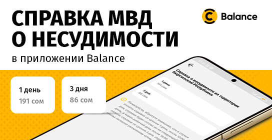 Получить справку МВД о несудимости проще через Balance
