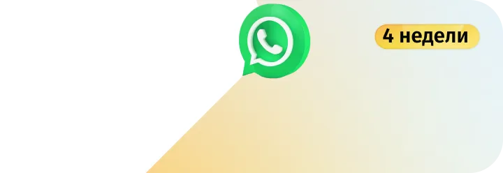 Безлимитный WhatsApp